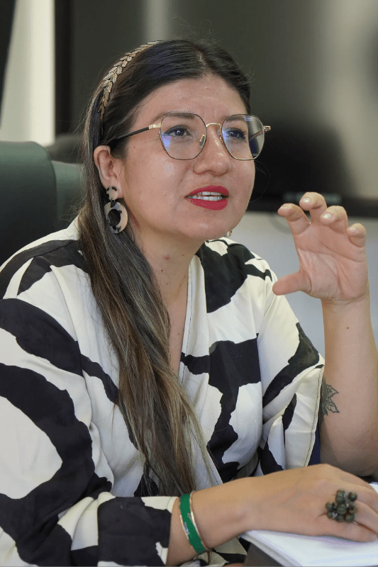 VANESSA BONILLAConversaciones alrededor de los festivales